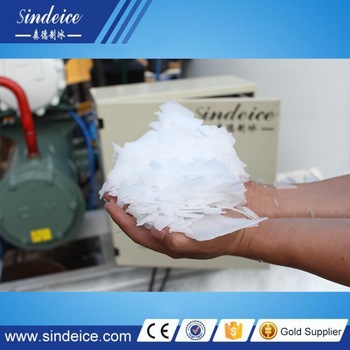 2017 30T 24hours flake ice plant for freezing fish