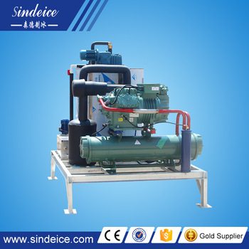 SINDEICE factory 4T 24H snow flake ice making machine