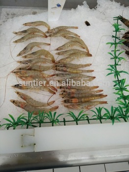 Fresh water flake ice machine block making machine ice maker solar