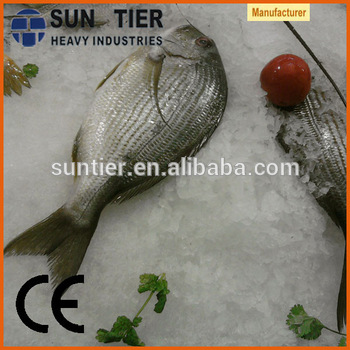 High Quality For Food Processing And Preservation Snow Ice Maker low pricedrental costumes