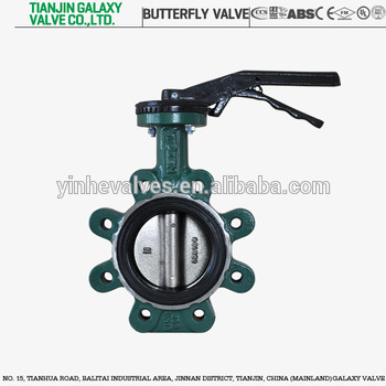 Worm Gear Lug Butterfly Valve