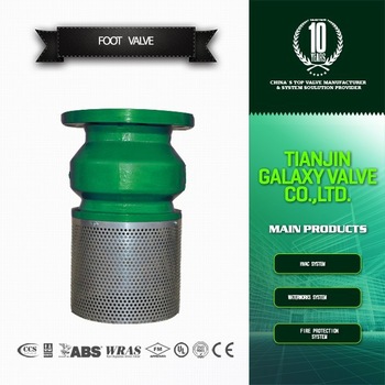 Hight Quality CE approved screen foot valve with strainer