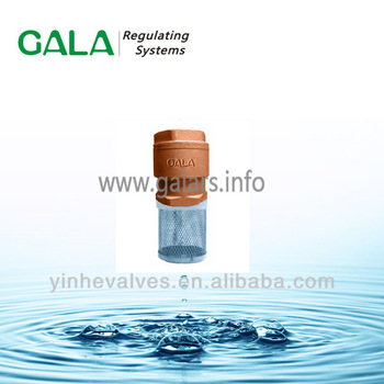 foot valve with strainer