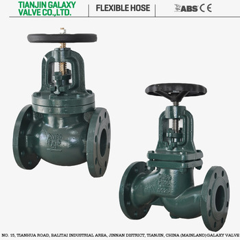 Cast Iron Globe Valve - Coowor.com