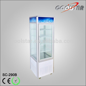 10 cubic feet commercial upright refrigerator