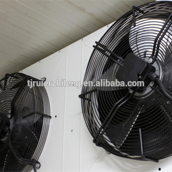 cold room <font color='red'>pallet</font> rack