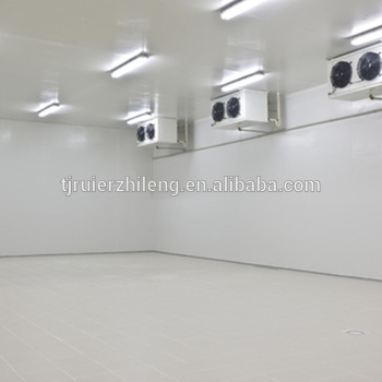stainless steel fruit cold room dubai