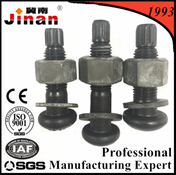 High strength CE certification black finish steel structure TS bolt