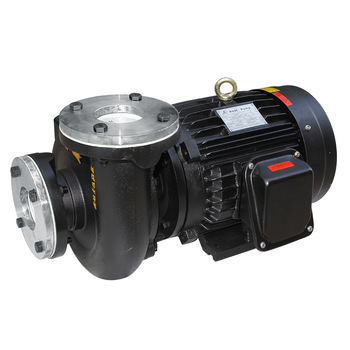 RGP hot oil hot water centrifugal pump