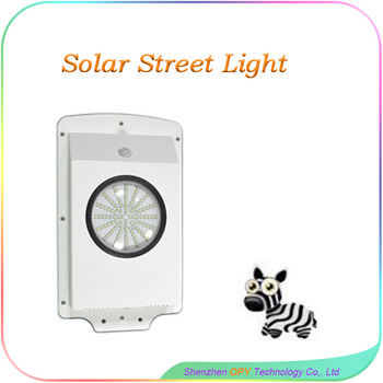 6W Dragon Mart Dubai Evergreen Solar Garden Led Light
