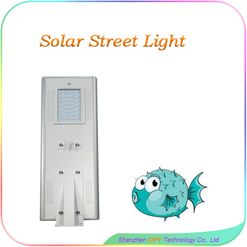 30W With Solar Panel Led Solar Garden Light Led Solar Light Garden