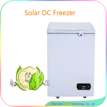 100 liter mini mobile refrigerator freezer fridge