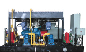 Popular Supplier of Cbm Screw Compressor Unit: Lgm30/-0.05-0.25