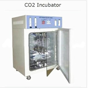 Advanced Technology CO2 Automatic Computer Control Incubator - Coowor.com