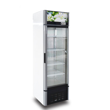 single glass door upright beverage display showcase