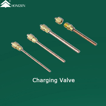 HS-110, Access Valve ~ Hongsen