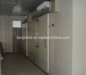 High Quality Frozen Cold Room for Meat and Fish
