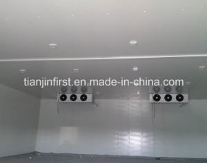 Cold Storage for Meat Fish Fruit Vegetable