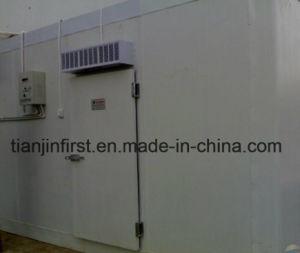 Cold Room Cold Storage for Fruits and Vegetables