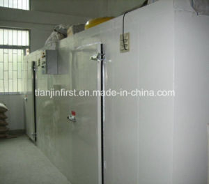 Cold Room of Low Temperature Used as Ice Cream