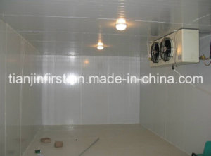 Cold Storage Room Cold Room for Frozen Fish, Frozen Chicken