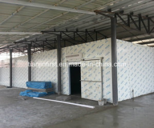 Cold Storage Room for Fish Frozen Seafood Meat Shrimp etc.