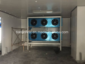 Good Quality Cold Room for Fruit and Vegetable with Bitzer Compressor