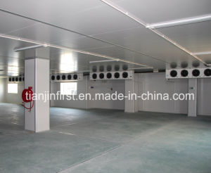Walk in Cold Room Freezer Room