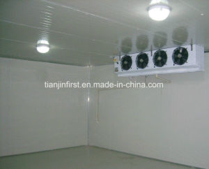 Blast Freezer Cold Room with Cheap Price