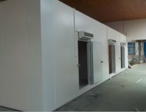 Cold Room for Fruit and Vegetable, Cold Storage for Potato