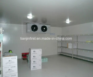 Newly Special Discount Cold Room for Vegetable Fruit Dumplings