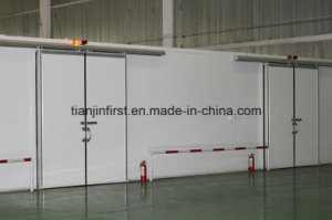 Meat and Fish Cold Storage Room Cold Room