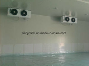 Cold Storage Freezer Cooling Room /Cold Room
