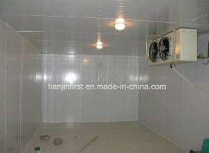 Hotel Mushroom Cold Room, Cold Stores