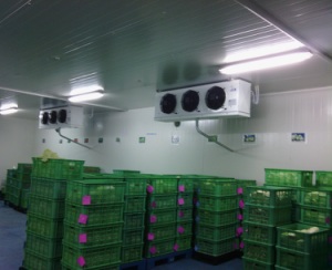 Cold Storage Cold Room Refrigerator, Freezer Room