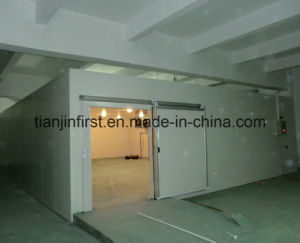 Cold Room, Air Chicken Blast Freezer