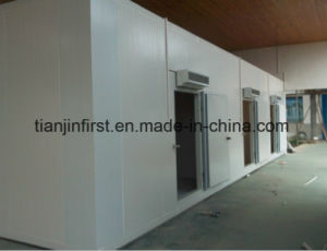 Frozen Cold Room for Meat and Fish/Cold Storage Room for Meat