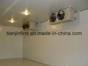 Fruit and Vegetable Cold Storage