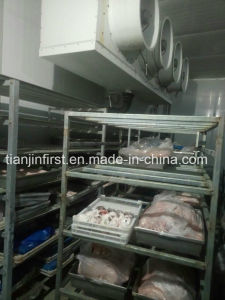 <font color='red'>Meat</font> and Vegetables <font color='red'>Cold</font> <font color='red'>Room</font> with Brand <font color='red'>Refrigeration</font> <font color='red'>Unit</font>