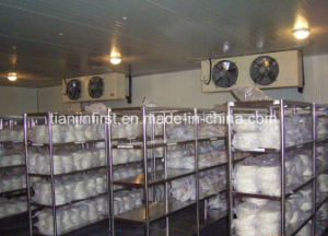 Refrigeration Freezing Room, Cold Storage Blast Freezer Cold Room
