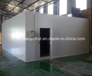 Best Price Trade Meat Blast Freezer/Cold Storage/Cold Room