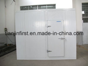 Factory Supply Cold Storage High Quality Cold Room