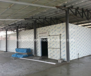 Small Freezer Cold Room, Air Chicken Blast Freezer