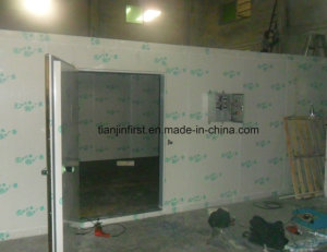 Fruit and Vegetable Cold Room Cold Storage for Seafood Fish