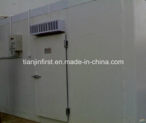 Cold Room for Vegetable Fruit Fish Cold Storage