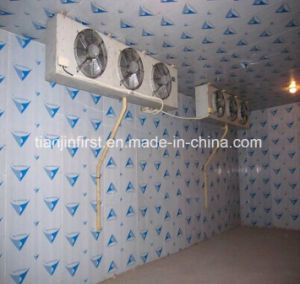 Cold Storage Cold Room for Fruit and Vegetable Meat Fruit