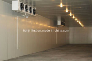 Cold Storage Refrigeration Unit for Seafood Meat