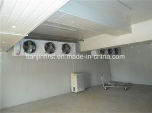 <font color='red'>Cold</font> <font color='red'>Storage</font> <font color='red'>Equipment</font>/Lower <font color='red'>Cold</font> <font color='red'>Room</font> Price