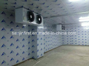 Meat and Fish Vegetable Cold Storage Room
