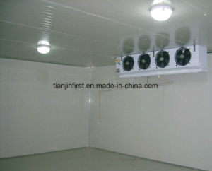 High Quality Cold Room/ Fruit and Vegetable Cold Storage